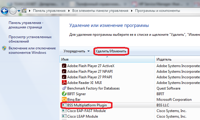 Что такое bss plugin host