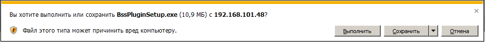 Что такое bss plugin host