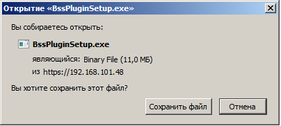 Что такое bss plugin host