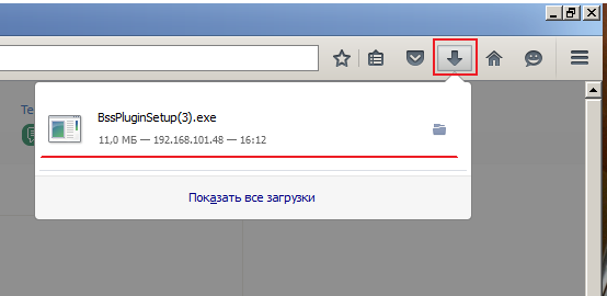 Что такое bss plugin host