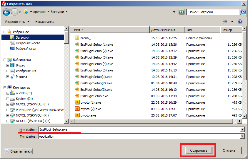 Что такое bss plugin host