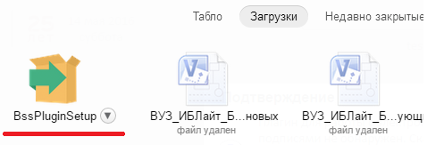 Что такое bss plugin host