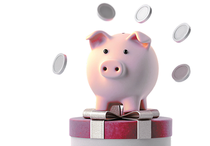 Бонусная программа